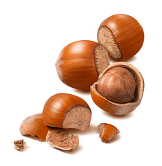 Whole and broken hazelnuts isolated on white background. Nuts, kernels and nutshells for vertical layout