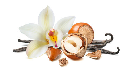 Fototapeta na wymiar Hazelnuts and vanilla isolated on white background. Flowers, sticks, whole nuts and broken pieces