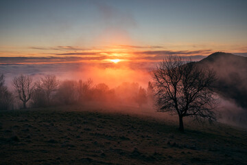 Fototapeta premium sunset in the mountains with tree silhouette
