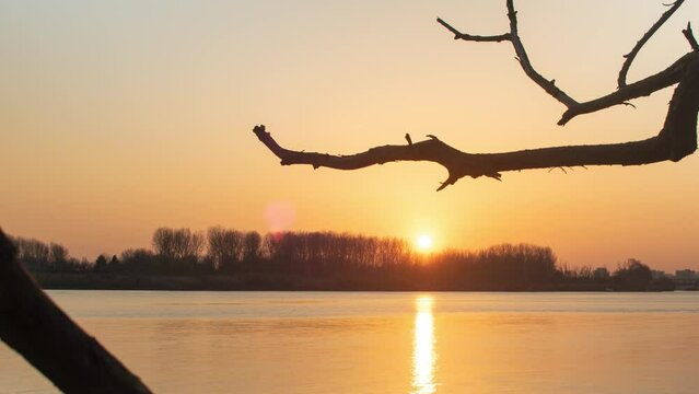 Golden sunset behind tree line and river Schelde with tree branch in foreground, timelapse view