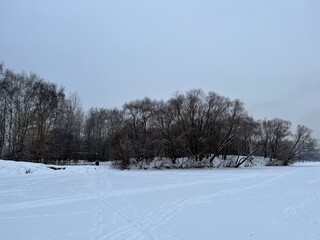 Fototapeta premium Landscape of the winter Moscow parks. A lot of snow in Strogino park, Moscow. Russia. Russian capital