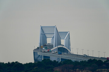 tokyo gate bridge in the cast sky