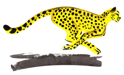 cheetah runs, hunter, quick sketch
