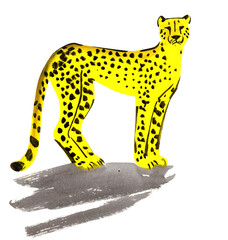cheetah stands, predator, quick sketch