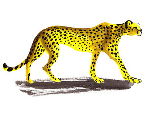 cheetah is coming, predator, quick sketch