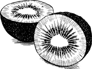 Kiwi tagliato a met&agrave;. Disegno vecchio stile vettoriale. bianco e nero.