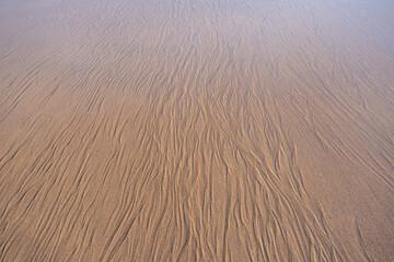 Rides sur la plage laissées par l'eau