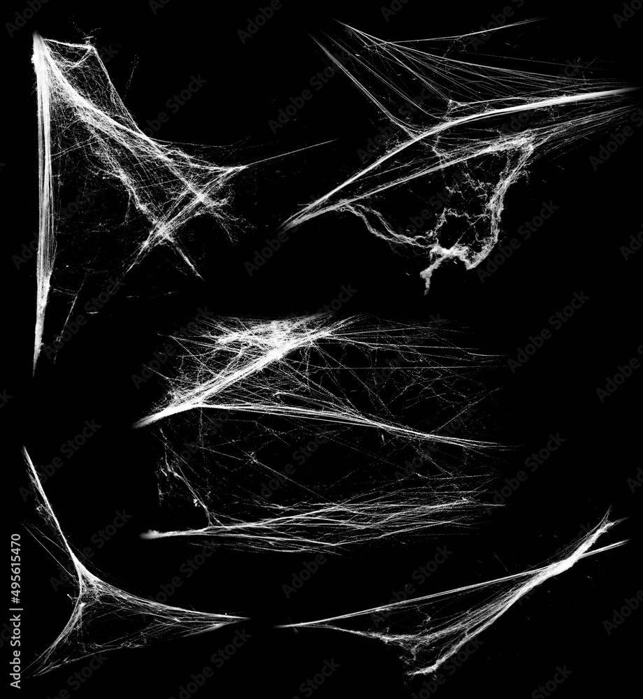 Wall mural overlay the cobweb effect. a collection of spider webs isolated on a black background. spider web el