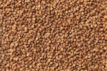 Traditional raw kasha, roasted buckwheat, close up full frame as background