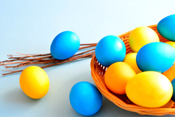 yellow and blue easter eggs in basket with willow branches on light blue background
