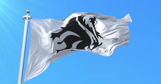 Flag of Kingdom of the Canary Islands, Spain. Loop