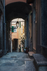 Fototapeta na wymiar narrow street in old town at cinque terre