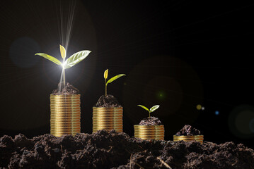 A small tree growing out of a crypto coin on the ground , business development , growth  and fund concept .