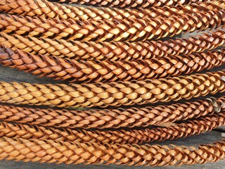 Dried Norfolk pine needles, colourful geometric patterns