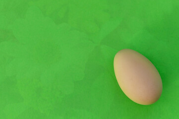 Easter egg on green background. Easter creative layout made with Easter egg