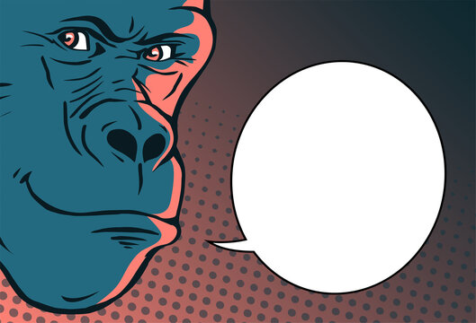 Gorilla head on a color background. A sly smile on his face. Wild animal primate. Bubble for text. Cartoon illustration drawing. Pop art style