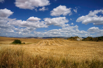 Fototapeta na wymiar Rural landscape along the Cassia near Radicofani, Tuscany
