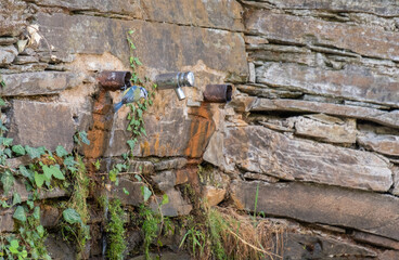 Great tit drinking water from a fountain in the Monfrague National Park