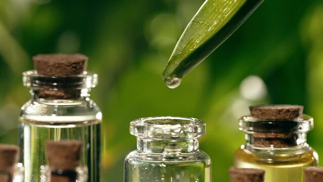 Essential oil dripping from a leaf into a bottle