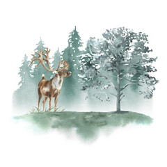 Watercolor forest illustration. Stag, deer.