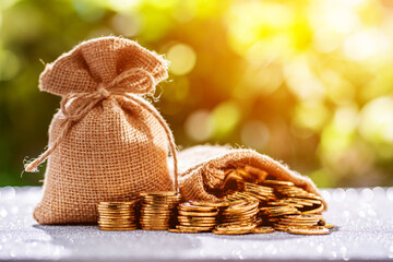 Many gold coins were put in the money bag place on the ground. Wealth obtained from savings or...
