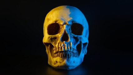 Human skull with yellow and blue lighting