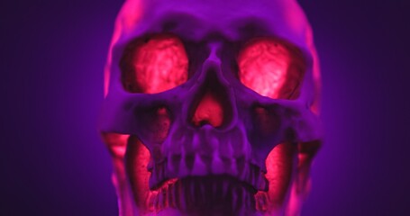 Skull with colored lighting loop closeup