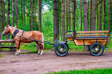 Horse and cart