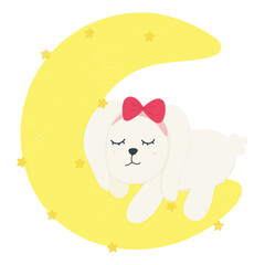 Cute little bunny sleeping on the half moon