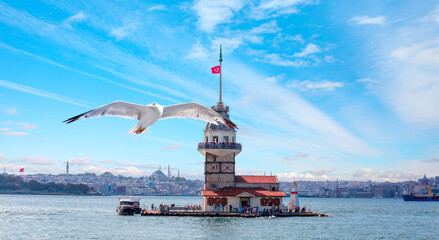 Istanbul Maiden Tower  (kiz kulesi)   with seagull flying - Istanbul, Turkey    