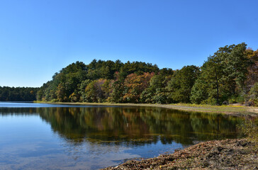Fototapeta na wymiar Trees Surrounding a Calm Lake in the Fall