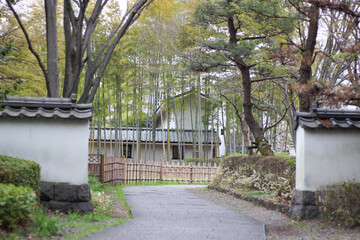 竹林と木が美しい忍城の歩道