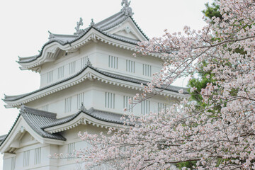 桜と日本の城