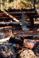 Grill hot dogs in the forest at a wind protection