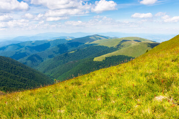 views of borzhava mountain ridge in summer. beautiful nature of transcarpathia, ukraine, europe....