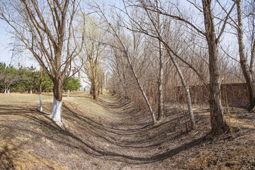dry ditch in spring