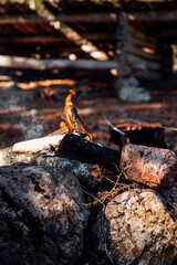 Grill hot dogs in the forest at a wind protection