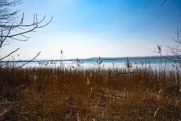 See, Landschaft, Schilf, Seeufer, Himmel, Ammersee, Bayern, Deutschland