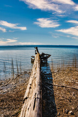 See, Baumstamm, Baum, Landschaft, Wolken, Himmel, Ammersee, Bayern, Deutschland