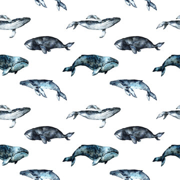 Seamless pattern hand painted in watercolor with Whales, ocean animals isolated on white background. Cute cartoon underwater animals textile pattern. High quality illustration