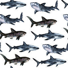 Seamless pattern hand painted in watercolor Sharks, ocean animals isolated on white background. Cute cartoon underwater animals textile pattern. High quality illustration