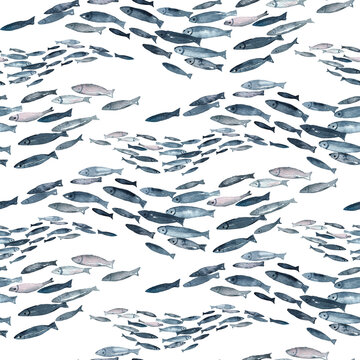 Seamless pattern hand painted in watercolor ocean fish isolated on white background. Cute cartoon underwater animals textile pattern. High quality illustration