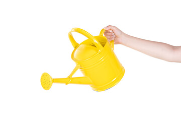 Female Hand is Holding A Watering Pot Something on Isolated White Background