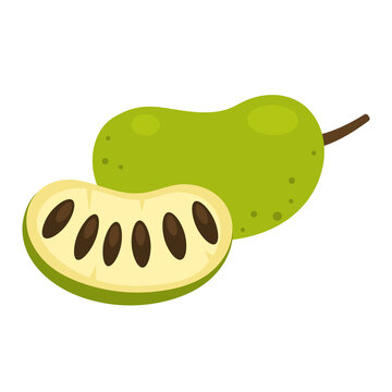 American pawpaw whole fruit and half sliced isolated on white background. Asimina triloba, paw paw or custard apple icon for package design. Vector illustration.