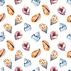 Seamless pattern with hand painted in watercolor ocean shells isolated on white background. High quality illustration