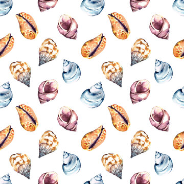 Seamless pattern with hand painted in watercolor ocean shells isolated on white background. High quality illustration