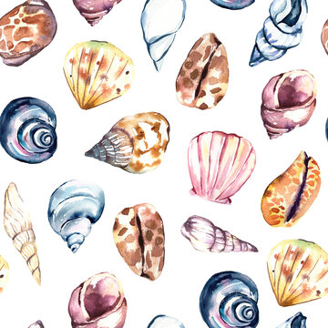 Seamless pattern with hand painted in watercolor ocean shells isolated on white background. High quality illustration