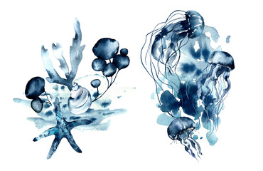 Watercolor underwater composition of Jellyfish and coral reef plants isolated on white background. Aquatic illustration for design, print or background. . High quality illustration © Olesya Frolova