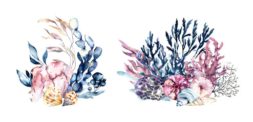 Watercolor underwater composition of coral reef plants isolated on white background. Aquatic illustration for design, print or background. . High quality illustration © Olesya Frolova