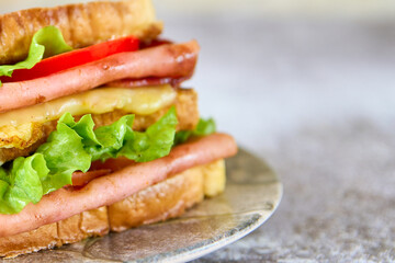 delicious and fresh sandwich on a slate surface
